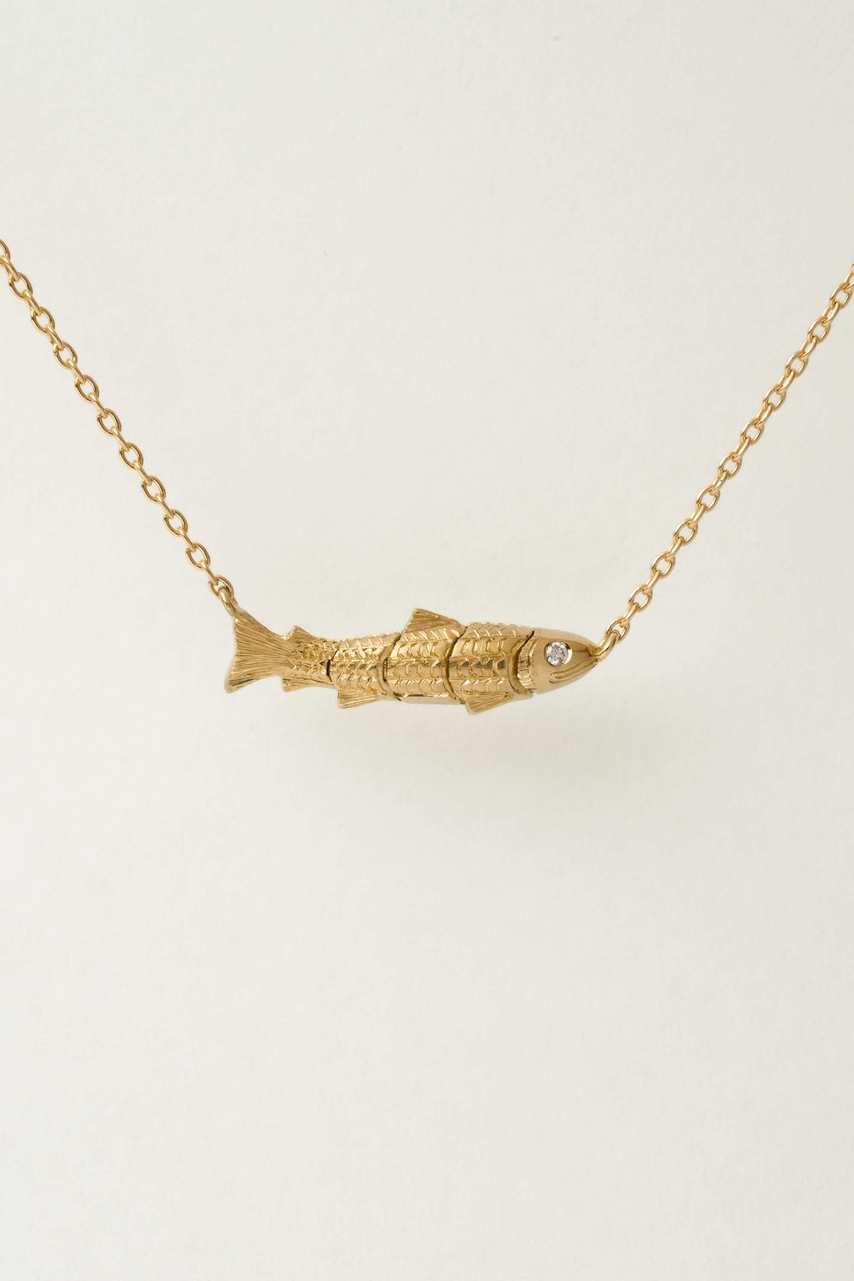 PESCA (YG)
