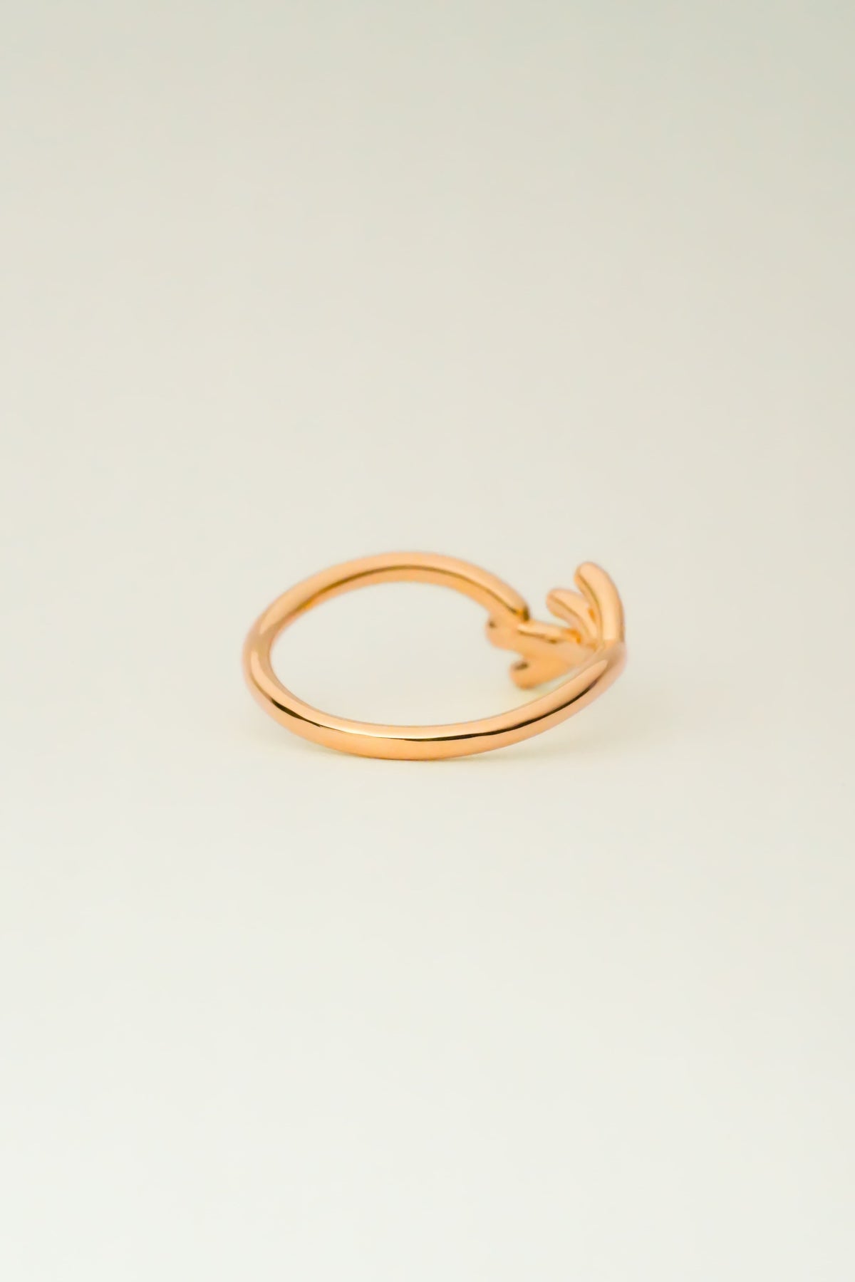 Joy-3 (PG)